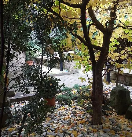 개리슨 셰필드